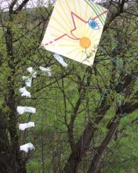 Warsztaty ,,Latawcem do lata”