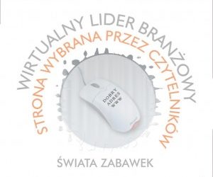 Wirtualni Liderzy Branżowi 2013!