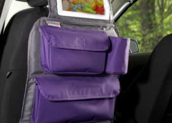 Organizer Podróżnika