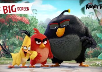 Marka Angry Birds w portfolio ELC!