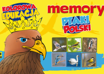Memory Ptaki Polski