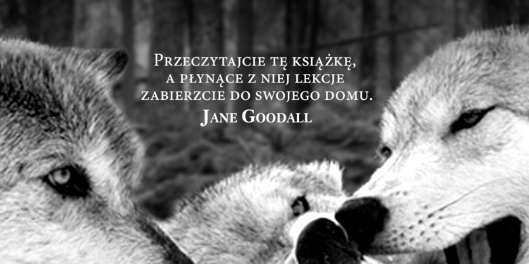 Dzika sprawiedliwość. Moralne życie zwierząt