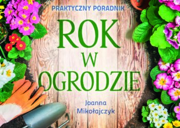 Rok w ogrodzie