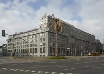 Co się stało z warszawską palmą?