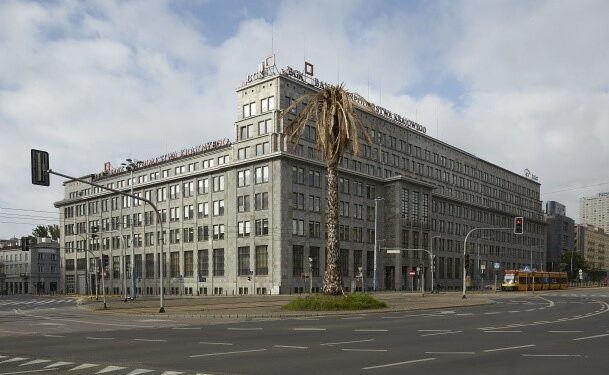 Co się stało z warszawską palmą?