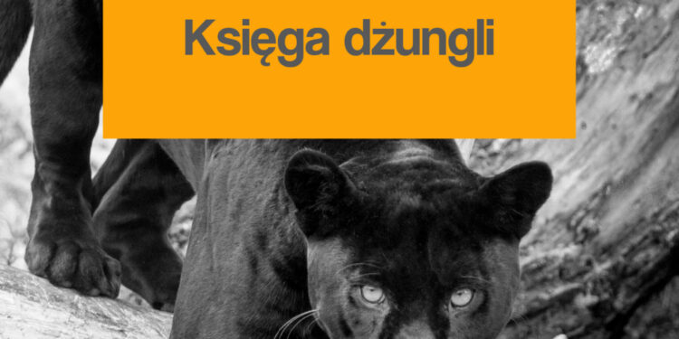 Czytam w oryginale. Księga dżungli