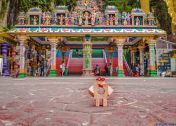 Profesor KOOGLO w Azji