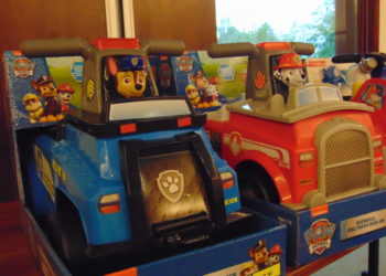 Gwiazdka 2019 z PULIO