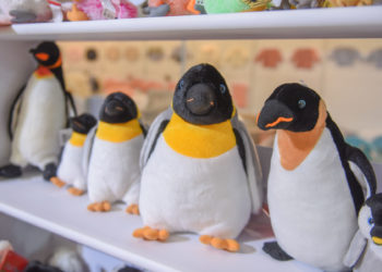 TARGI KIDS TIME KIELCE 2019