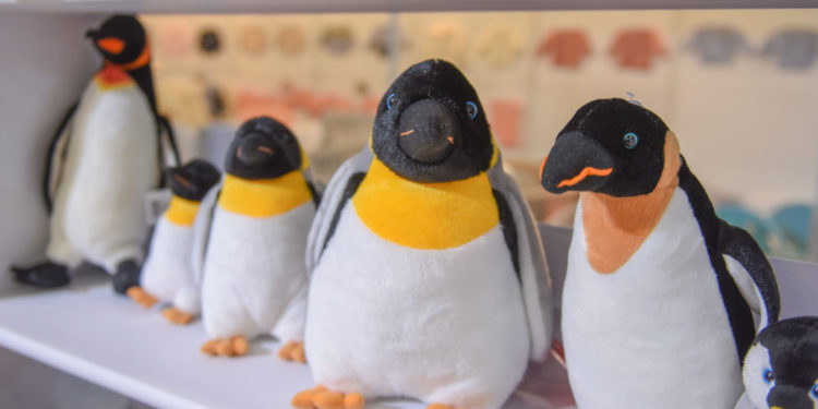 TARGI KIDS TIME KIELCE 2019