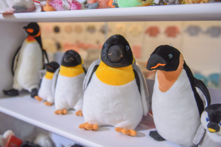 TARGI KIDS TIME KIELCE 2019