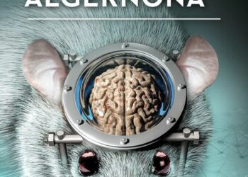 Kwiaty dla Algernona