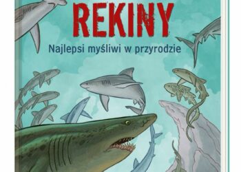 Rekiny – najlepsi myśliwi w przyrodzie