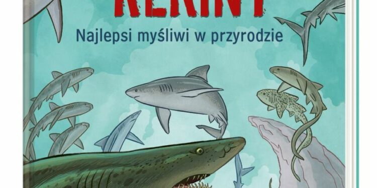 Rekiny – najlepsi myśliwi w przyrodzie