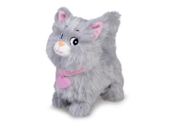 Kotek chodzący na smyczy Natalia