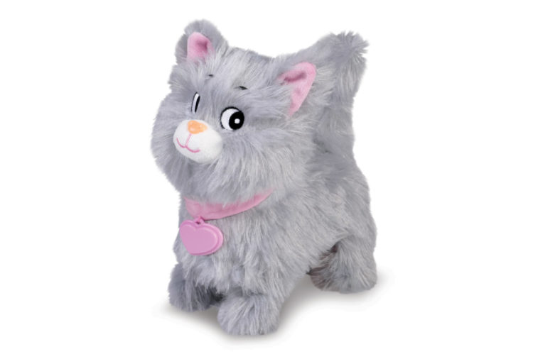 Kotek chodzący na smyczy Natalia