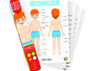 CIAŁO CZŁOWIEKA – 4 PLAKATY