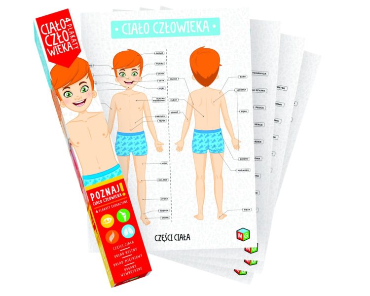 CIAŁO CZŁOWIEKA – 4 PLAKATY