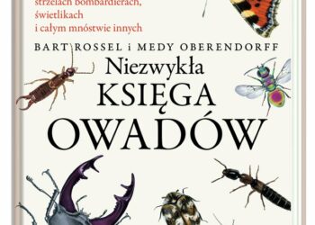 Niezwykła księga owadów