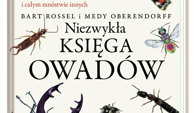 Niezwykła księga owadów