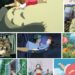 Netflix poszerza ofertę filmów animowanych o 21 arcydzieł od studia GHIBLI