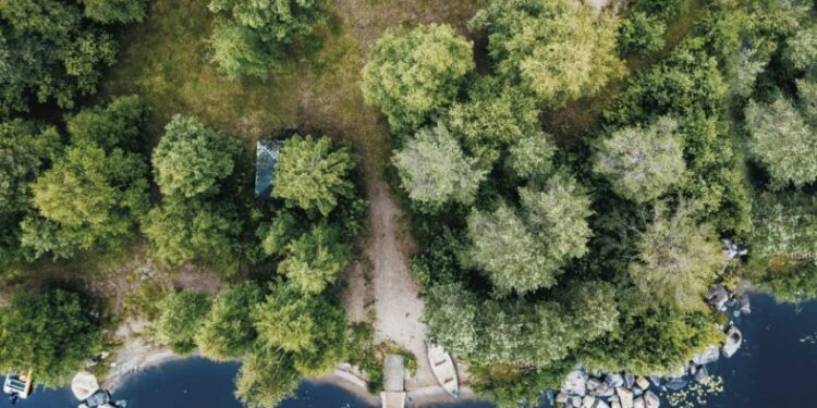 Finlandia. Sisu, sauna i salmiakki