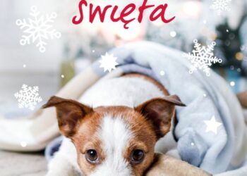 Rozmerdane święta