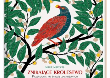 Znikające królestwo