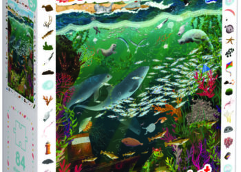 Puzzle obserwacyjne Bałtyk