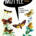Motyle