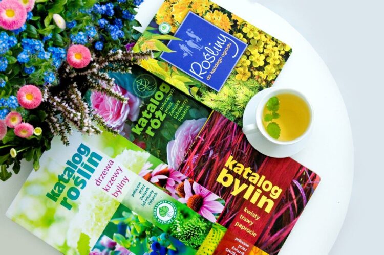 28. EDYCJA MIĘDZYNARODOWEJ WYSTAWY ZIELEŃ TO ŻYCIE & FLOWER EXPO POLSKA