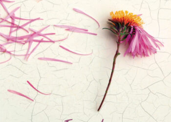 Epizody z życia mojej mamy