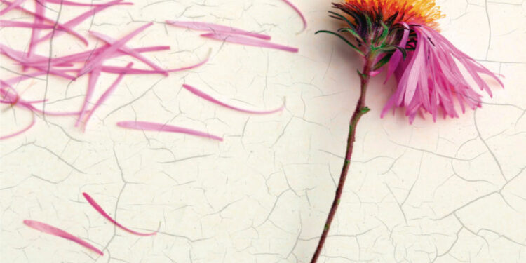 Epizody z życia mojej mamy