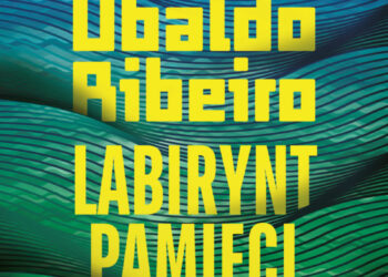 Labirynt pamięci