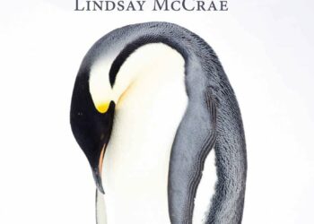 Rok wśród pingwinów