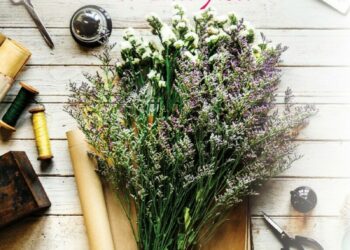 Mała zielarnia w Paryżu