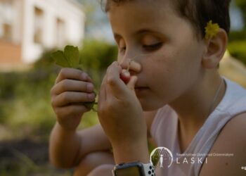 SHAMIR Polska i Partnerzy budują Ogród Zmysłów dla dzieci z Ośrodka Towarzystwa Opieki nad Ociemniałymi w Laskach