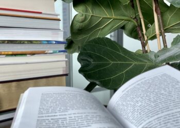 42 proc. Polaków w ostatnim roku przeczytało przynajmniej jedną książkę. To tylko nieznaczny wzrost, ale i tak najlepszy wynik od sześciu lat