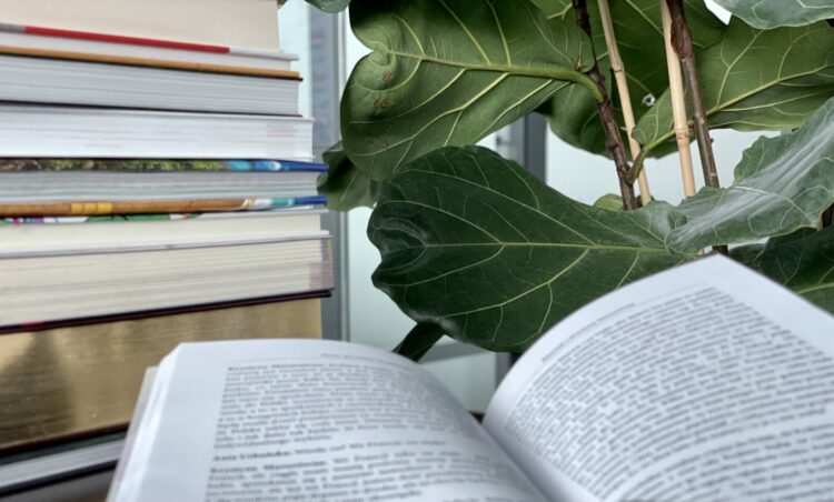 42 proc. Polaków w ostatnim roku przeczytało przynajmniej jedną książkę. To tylko nieznaczny wzrost, ale i tak najlepszy wynik od sześciu lat