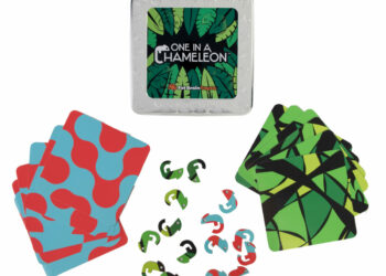 Kameleony Łamigłówka Magnetyczna