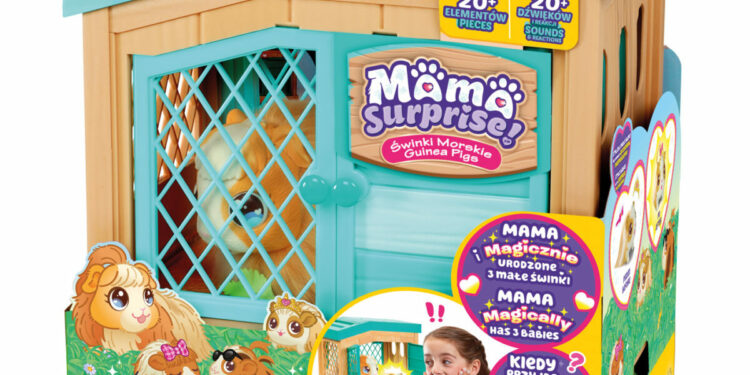 MAMA SURPRISE ŚWINKI MORSKIE