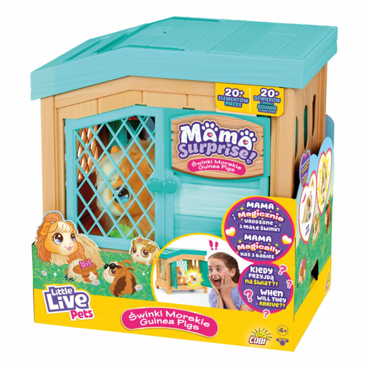 MAMA SURPRISE ŚWINKI MORSKIE
