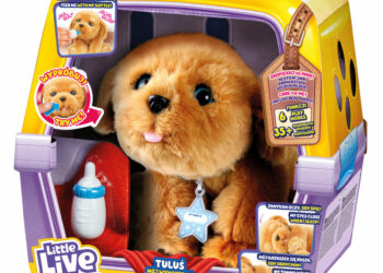 MÓJ WYMARZONY SZCZENIACZEK TULUŚ