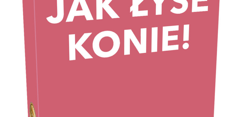 Gra planszowa Gift Game: Poznajmy się jak Łyse Konie!