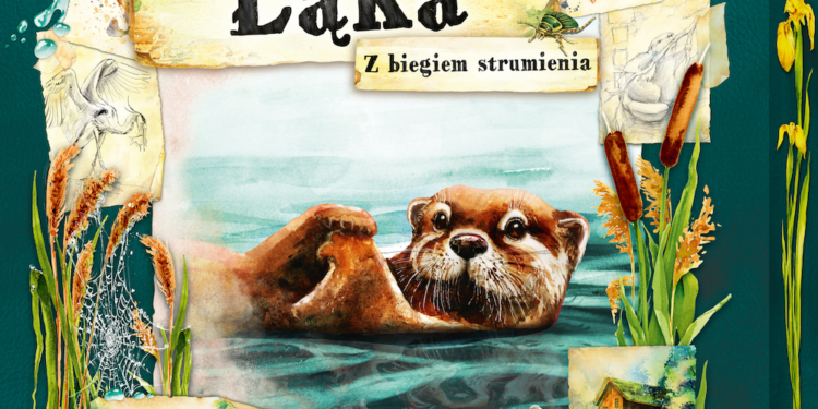 Łąka: Z biegiem strumienia