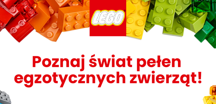 Poznaj egzotyczne zwierzęta z całego świata!