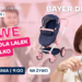 Bayer Design i nowości na Gwiazdkę 2026